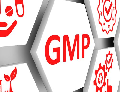 GMP- co to jest?